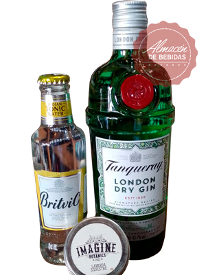 Tanqueray London Dry GIN y Agua Tónica Britvic
